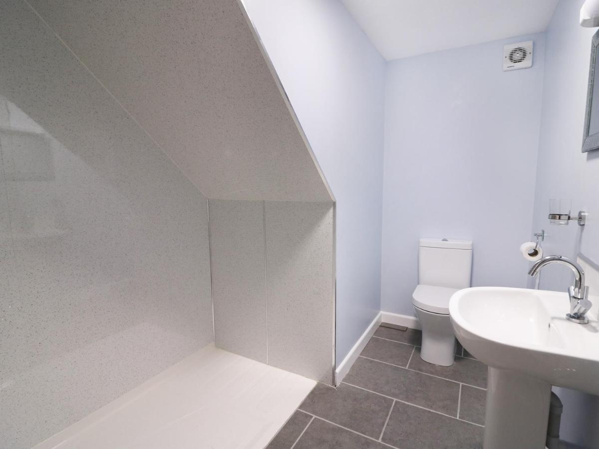 Llandysul Cilgwyn Bachヴィラ エクステリア 写真